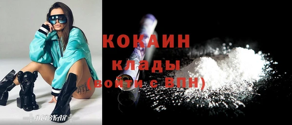 стаф Новозыбков