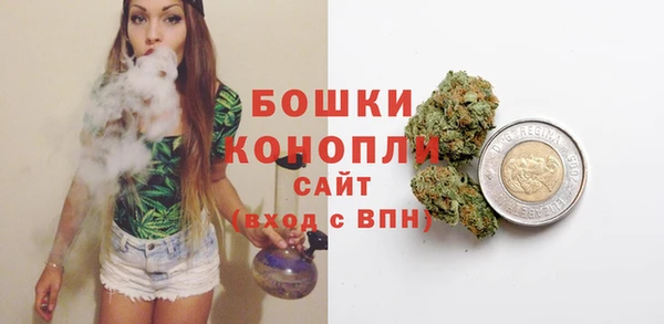 стаф Новозыбков