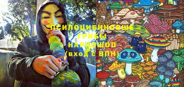 ПСИЛОЦИБИНОВЫЕ ГРИБЫ Новодвинск