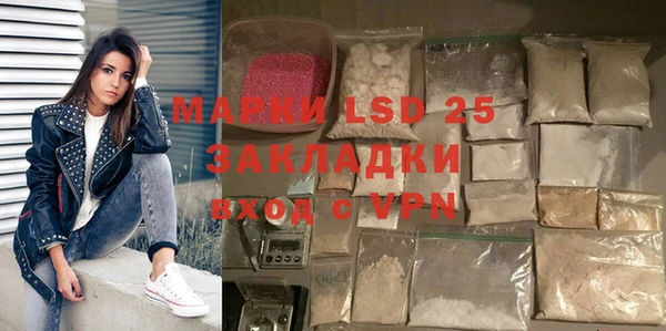 ПСИЛОЦИБИНОВЫЕ ГРИБЫ Новодвинск