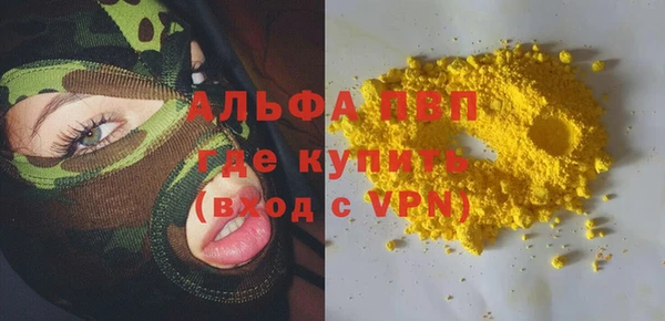 стаф Новозыбков