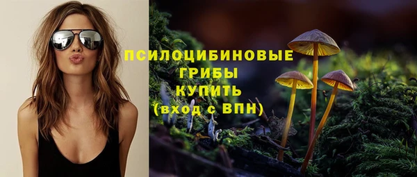 ПСИЛОЦИБИНОВЫЕ ГРИБЫ Новодвинск