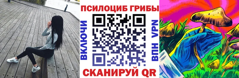мега зеркало купить наркоту Холмск Галлюциногенные грибы мицелий