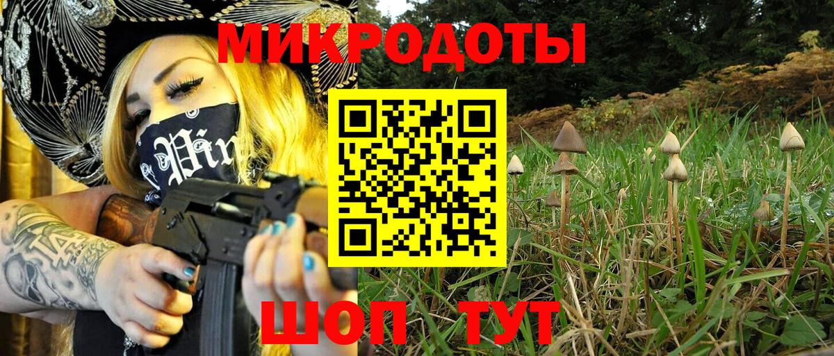 Псилоцибиновые грибы прущие грибы  Вход с VPN  хочу   Холмск 